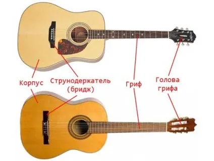 Чим відрізняється акустична гітара від класичної