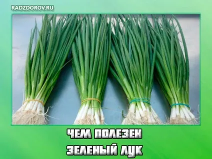 Чим корисний зелений лук