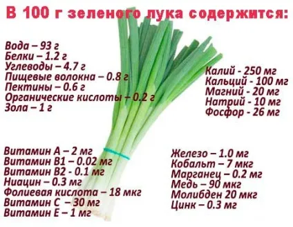 Чим корисний зелений лук