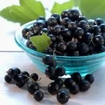 Чорна смородина - користь і шкода листя, корисні і лікувальні властивості настойки з чорної (чорна) Чорна смородина - користь і шкода листя, корисні і лікувальні властивості настойки з чорної