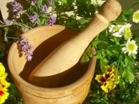 Чистотіл захистить рослини від хвороб і шкідників, квіти в саду (садиба) (квіти) Чистотіл захистить рослини від хвороб і шкідників, квіти в саду (садиба)