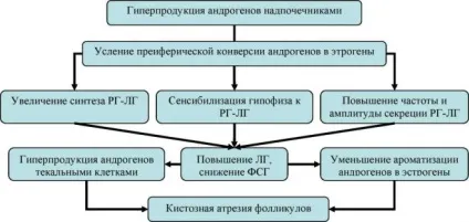 Що робити якщо підвищені андрогени - ліки, методи лікування (ліки) Що робити якщо підвищені андрогени - ліки, методи лікування