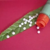 Туя - гомеопатія