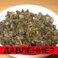 Тромбоцитопенія причини і лікування у дорослих (дорослих) Тромбоцитопенія причини і лікування у дорослих