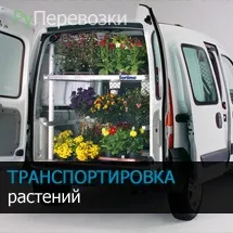 транспортування рослин