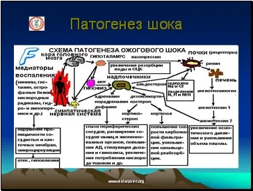 Травматичний і опіковий шок (опіковий) Травматичний і опіковий шок
