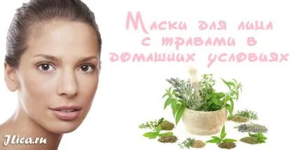 Трави для обличчя користь і домашні рецепти масок (Виготовлення метод нанесення) Трави для обличчя користь і домашні рецепти масок