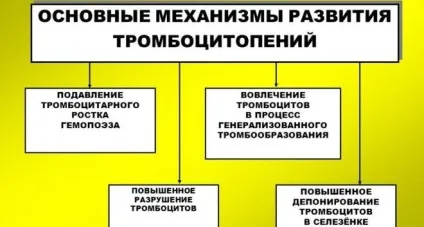 Тромбоцитопенія причини і лікування у дорослих (лікування) Тромбоцитопенія причини і лікування у дорослих
