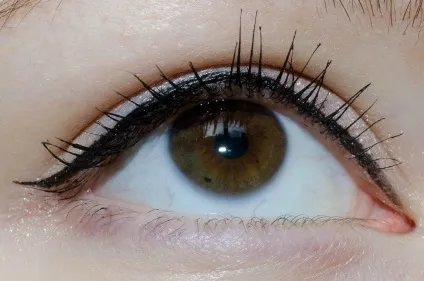 Туш shiseido volume lash - відгук, свотчіmashvisage, mashvisage (туш) Туш shiseido volume lash - відгук, свотчіmashvisage, mashvisage