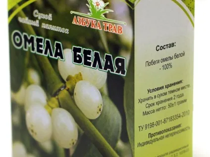 Трава біла омела івная і липа для схуднення рецепт відвару, фото і відгуки схудлих (схуднення) Трава біла омела івная і липа для схуднення рецепт відвару, фото і відгуки схудлих