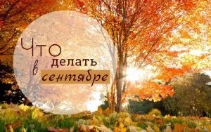Що робити у вересні складаємо to-do list, щоб не нудьгувати