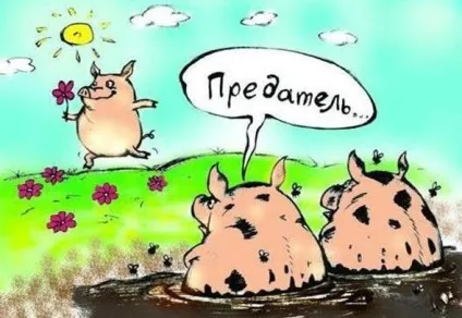 Що означає вираз - всяк кулик своє болото хвалить (людина) Що означає вираз - всяк кулик своє болото хвалить