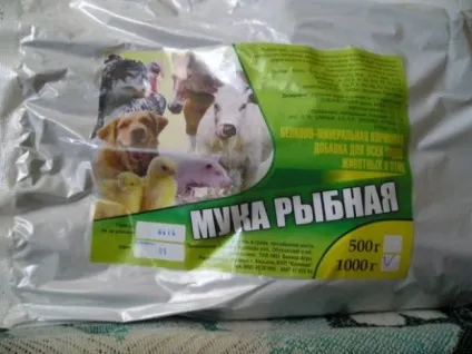 Що їдять павичі