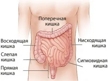 Що таке иерсиниоз у дітей