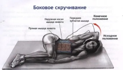 Що таке абдомінальні м'язи тренування - бодібілдинг - каталог статей - спорт і здоров'я (абдомінальні) Що таке абдомінальні м'язи тренування - бодібілдинг - каталог статей - спорт і здоров'я
