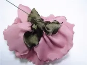 Кольороподіляти, хобі, хобі