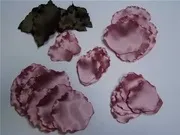 Кольороподіляти, хобі, хобі