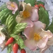 Кольороподіляти, хобі, хобі