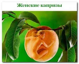 Що таке жіночі примхи, хочу все знати (хочу) Що таке жіночі примхи, хочу все знати