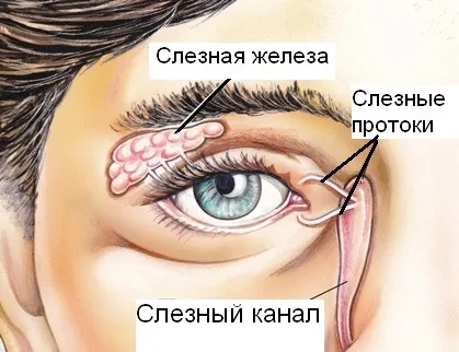 Цистит у чоловіків симптоми і лікування в домашніх умовах, дакріоцистит (домашніх) Цистит у чоловіків симптоми і лікування в домашніх умовах, дакріоцистит