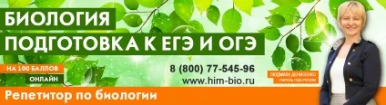 Квітка і плід