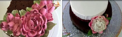 Квіти «півонія» з мастики і крему, покроковий майстер клас (півонія) Квіти «півонія» з мастики і крему, покроковий майстер клас