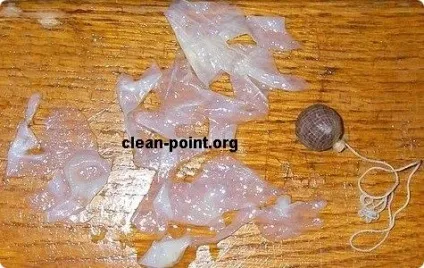 Що витягує тампон clean point і що виходить з тампоном (витягає) Що витягує тампон clean point і що виходить з тампоном