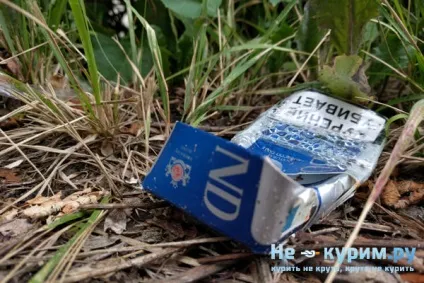 Що шкідливіше сигарети або трубка