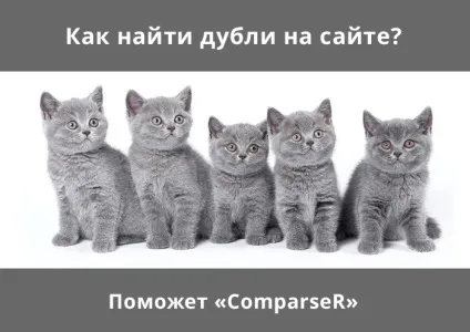 Comparser перевірить сайт на дублі сторінок (перевірить) Comparser перевірить сайт на дублі сторінок