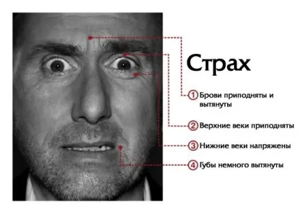 Почуття безпеки потрібно всім