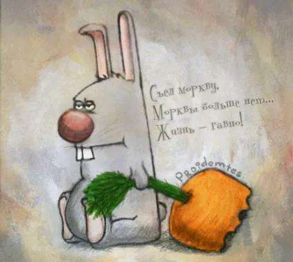 Цитати з гумором