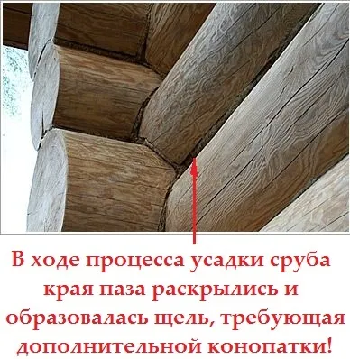 Дерев'яні будинки та лазні з зрубів ручної роботи (будинки) Дерев'яні будинки та лазні з зрубів ручної роботи