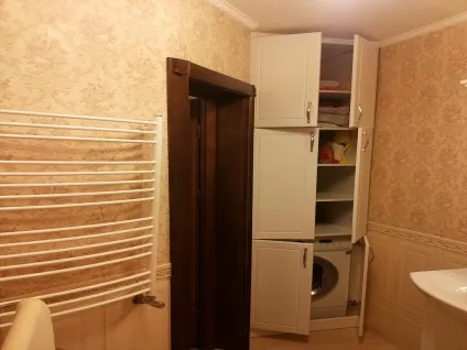 Дизайн ванної кімнати з пральною машиною фото (пральної) Дизайн ванної кімнати з пральною машиною фото