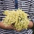 Будинок в руках - house in hands
