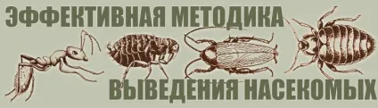 Договір по дезінфекції, дератизації та дезінсекції для організацій (дезінсекції) Договір по дезінфекції, дератизації та дезінсекції для організацій
