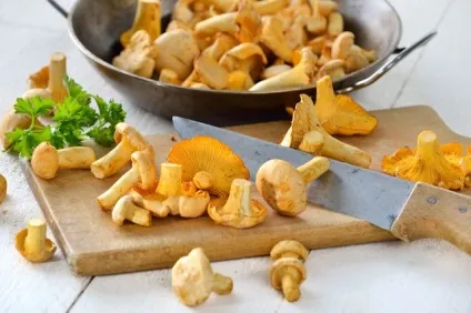 Довгостроковий прогноз погоди на липень 2017 р, природа, суспільство, аргументи і факти (довгостроковий прогноз погоди) Довгостроковий прогноз погоди на липень 2017 р, природа, суспільство, аргументи і факти