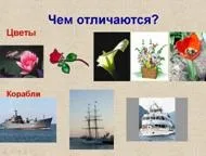 Одиничне ім'я (ім'я для всіх і ім'я для кожного) (всіх) Одиничне ім'я (ім'я для всіх і ім'я для кожного)