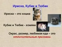 Одиничне ім'я (ім'я для всіх і ім'я для кожного) (один предмет істота) Одиничне ім'я (ім'я для всіх і ім'я для кожного)