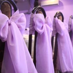 Джем - оформлення стільців, оренда чохлів на стільці (оренда) Джем - оформлення стільців, оренда чохлів на стільці