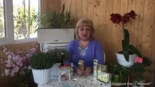 Ефірна олія мигдалю омолоджує шкіру (ефірне масло мигдалю) Ефірна олія мигдалю омолоджує шкіру