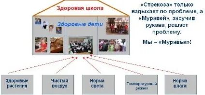 Екологія шкільного кабінету (екологія) Екологія шкільного кабінету