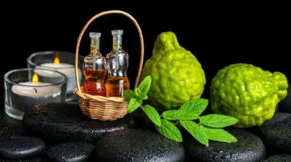 Ефірні масла, які відлякують комарів (масло чайного дерева) Ефірні масла, які відлякують комарів