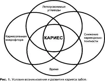Етіологія і патогенез карієсу (патогенез) Етіологія і патогенез карієсу