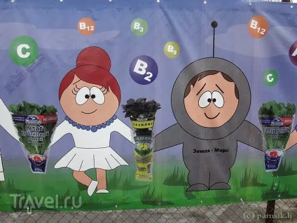 Екскурсія в теплиці агрокомбінату московський (московський) Екскурсія в теплиці агрокомбінату московський