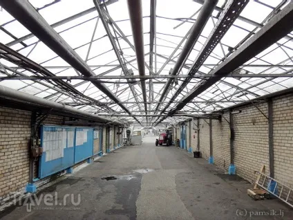 Екскурсія в теплиці агрокомбінату московський (московський) Екскурсія в теплиці агрокомбінату московський