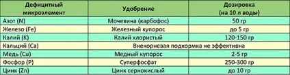 Добрива для сливи навесні і протягом сезону - графік підгодівлі (підгодівлі) Добрива для сливи навесні і протягом сезону - графік підгодівлі