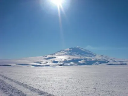 дивовижна антарктида