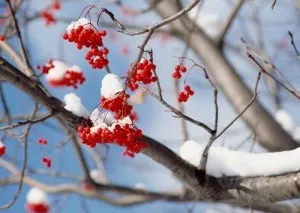 Езотеричні прогнози, галактика