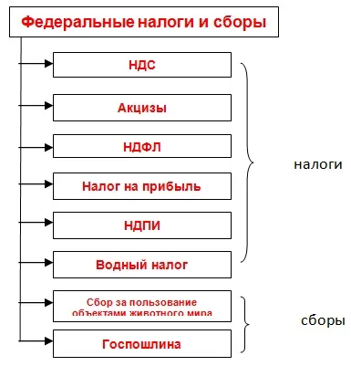 Федеральні податки і збори (збори) Федеральні податки і збори
