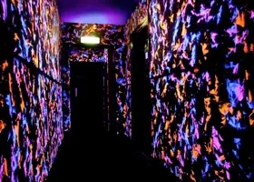 Флуоресцентні шпалери з 3d ефектом на (шпалери) Флуоресцентні шпалери з 3d ефектом на